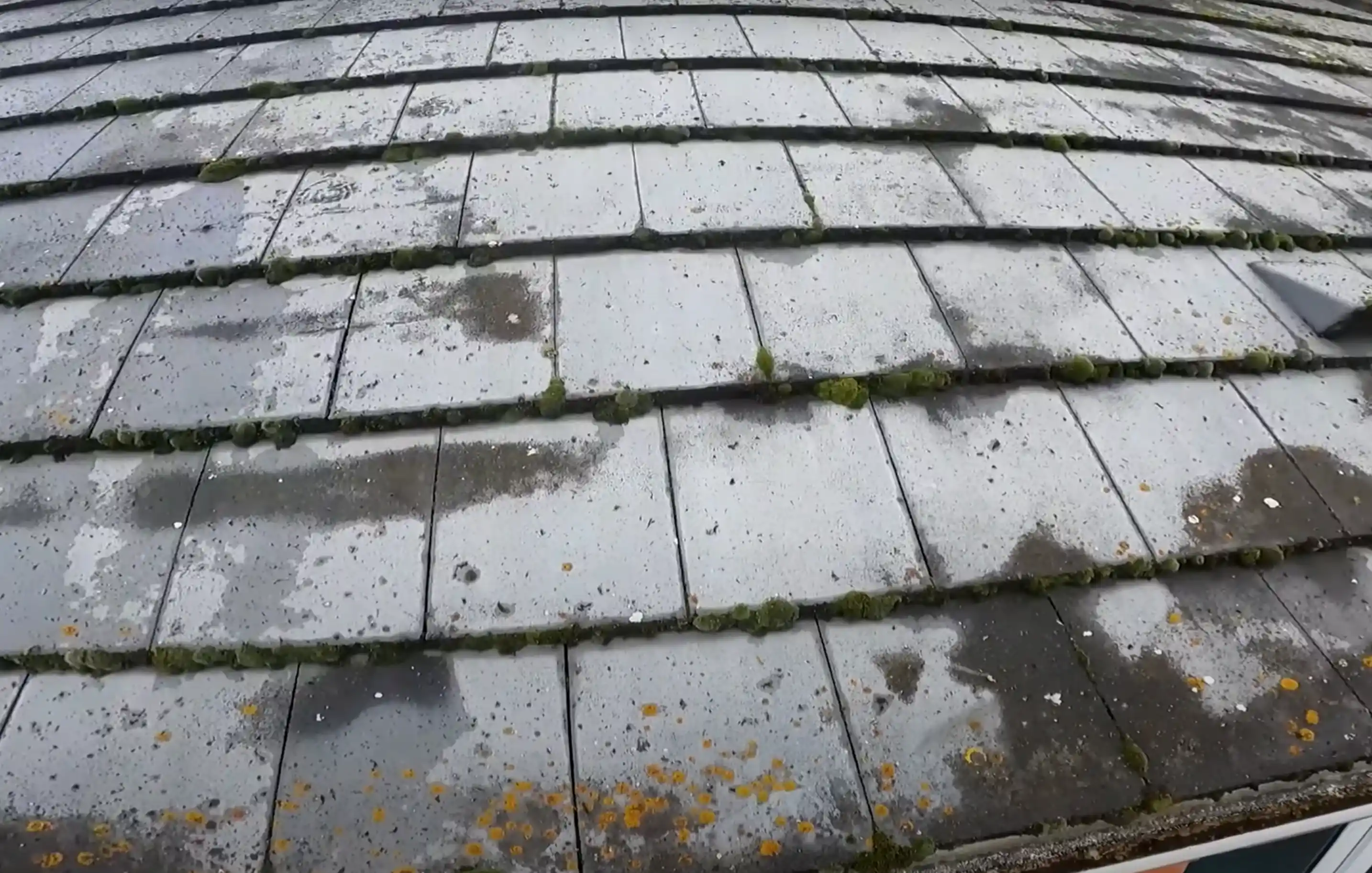 Roof Repairs